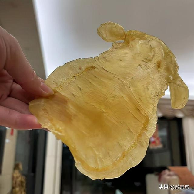 巴沙鱼胶和黄花鱼胶哪个好 2026年巴沙鱼胶和黄花鱼胶哪个好一点