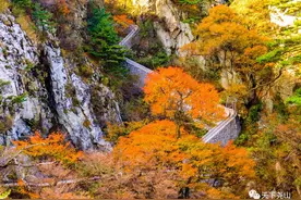 门票全免，索道八折，“尧山·醉美红叶季”诗意归来！图片