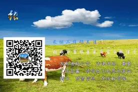 【技能科普】羔羊痢疾的防治图片
