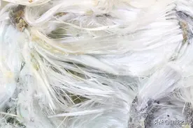 这种一级致癌物，潜伏期达数十年，随处可见，有人每天都接触图片