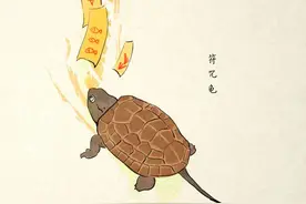 龟仙传 | 符咒龟图片