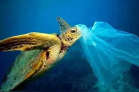 日本潜艇深入海底一万米，捕捉到一组神秘生物，给人类敲响了警钟图片