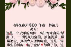 林笛儿6部经典小说：于千万人之中，让我与你相遇图片