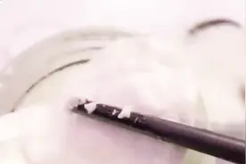 产自佛山顺德牛乳片，放入白粥里咸香微甜，为你的早餐加风味
