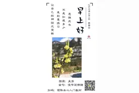 选择大于一切/卢老师讲男性成长复盘图片