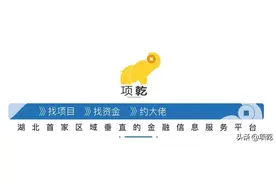 这是打不死的小强？盈方微能否如愿重返A股？图片