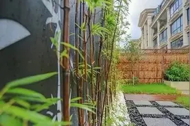 庭院绿化“喧闹世界上的一片宁静”图片