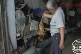 神秘野兽半夜进农场，咬死60多只鸡和鹅！民警却说不能伤害它图片