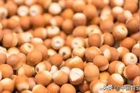 芡实营养价值图片