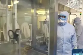 英国科学家警告：致死率高达35%的超级病毒，几乎可以肯定会出现图片