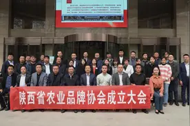 陕西省农业品牌协会正式成立，推动区域公众品牌和企业品牌的建设图片