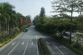 疫情爆发的第十天，镜头下的深圳图片