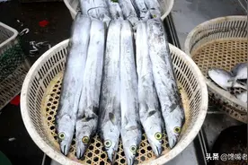 带鱼，明明是深海“富贵鱼”，为啥却被中国人吃成了“平民鱼”？图片