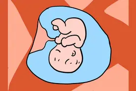 怀孕最佳时间为何是八月前后？图片