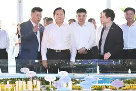 绿地重仓武汉：张玉良的“局”图片