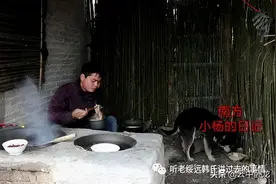 故事：老韩讲故事：粗茶淡饭饱即休图片