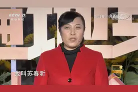 被央视深度报道的货拉拉女司机，究竟有着怎样的故事？图片