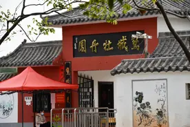 广平：观赏牡丹何必去洛阳，鹅城牡丹园好去处图片