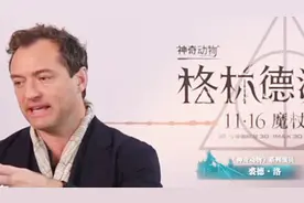 年轻的邓布利多现身！《神奇动物2》带你重返霍格沃茨魔法学校视频封面