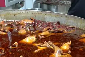 河南7旬大爷卖手撕鸡，一锅老汤100年，日卖800只，喝了酒再开工图片