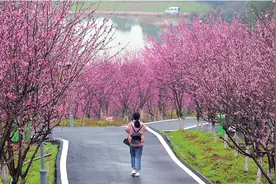 美景撩人！株洲这几个赏花打卡点，你去过吗？图片