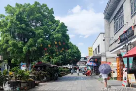 沙湾古镇为何成为密集恐惧症者的噩梦？游客：看一眼都会不寒而栗图片