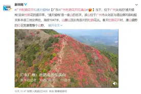 火了！广州多了一片正在“燃烧”的红色花海图片