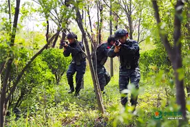一场反劫持战斗悄悄打响，看特战队员如何快速救援图片