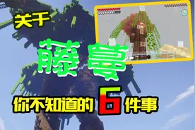 我的世界：关于藤蔓你可能不知道的6件事，和末影人对视一年不虚