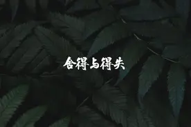 舍得与得失图片