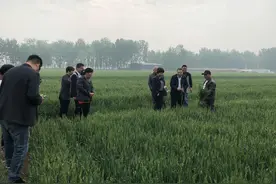 明确了，2021年农业补贴三大调整，两类人补贴将取消，农民需注意图片