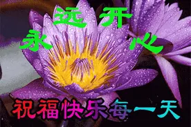 问好表情包｜苍茫的天涯是我的爱， 绵绵的青山脚下花正开图片