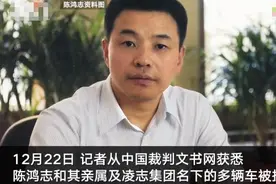 山西柳林原首富陈鸿志名下多辆车被执行拍卖 曾当众扇县委原书记耳光图片