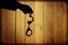 受过刑事处罚的人，不能从事这些职业，包括子女图片