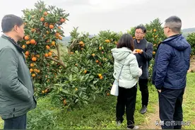 服务“三农” | “邮政+合作社”让农民增收路更广阔图片
