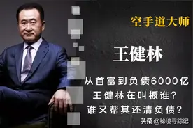 王健林动了谁的蛋糕？一夜负债6000亿，又如何用3年就还清债务？图片