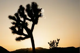 陈寅恪：为学术的一生，三百年来第一人图片