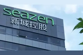 王晓松“放权”，新城控股“再启征程”图片