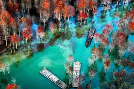 金秋皖南摄影线处处是美景，看那绝美红杉林，色彩斑斓美如油画图片