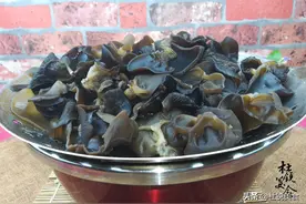 吃木耳，现吃现泡才安全，多加1物，几分钟发满盆，又大又软图片