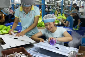 东莞回忆录2：被车间女工倒着追的90年代图片