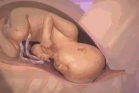 孕妈顺产到底有多疼？一组3D图让你明白，什么是为母则刚图片