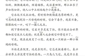 四年级下册语文第14课《母鸡》图文详解及同步练习图片