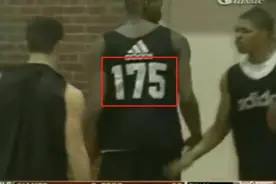 训练营“175”号麦迪的故事图片