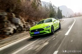 只有5.0才能称得上野马？老外看了都摇头图片