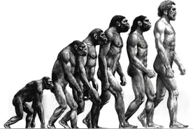 第一个人类是怎么诞生的？图片