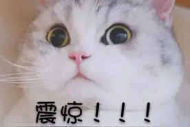 你被尿憋出过哪些病？图片
