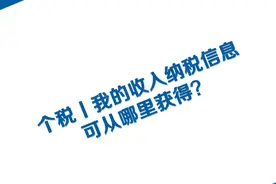 个税丨我的收入纳税信息可从哪里获得？图片