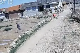 你跑！你跑！你再跑！图片