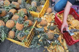 吃菠萝时，用盐水泡大错特错！果农教你正确方法，好吃不扎嘴图片
